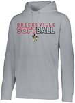 Brecksville Softball Augusta Performance Fleece Hooded Sweatshirt (Youth & Adult)